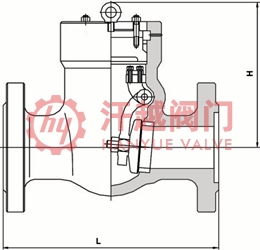 Inconel600止回閥